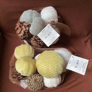 Fall 2023 Packaged Pumpkins/Gourds/10 pc New With Tag